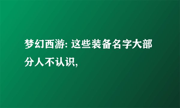 梦幻西游: 这些装备名字大部分人不认识,