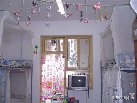 南充职业技术学院好还是成都文理学院好?