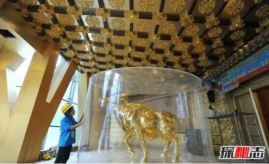 揭秘华西村黑暗真相,华西村的真实生活图片(质量很差)