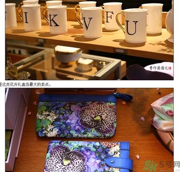 野兽派是什么牌子?野兽派怎么样?