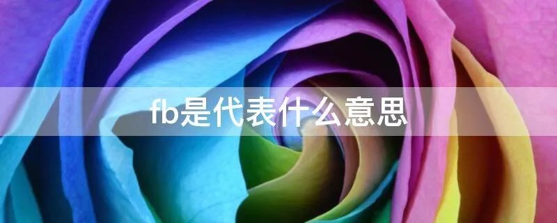 fb是代表什么意思
