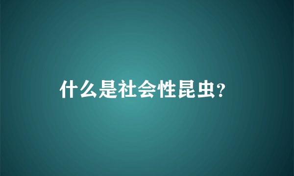 什么是社会性昆虫？