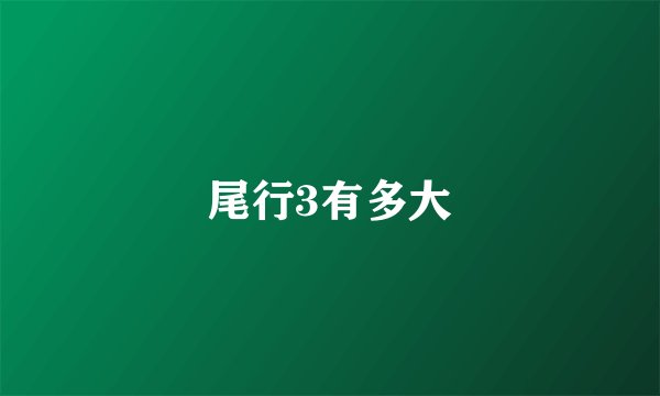 尾行3有多大
