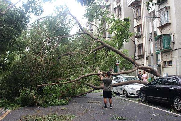 今年首个台风红色预警,中国哪些城市经常被台风光顾?