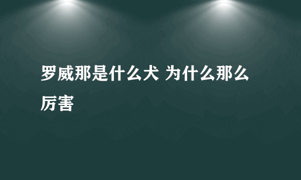 罗威那是什么犬 为什么那么厉害