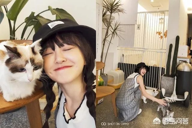 iPhone XS深陷“美颜门”，对此你怎么看？