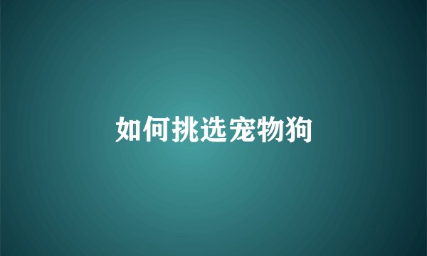 如何挑选宠物狗