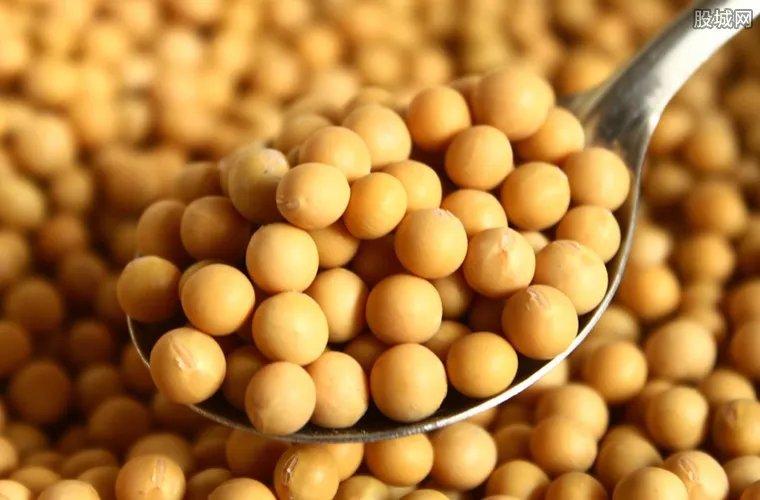 中国大豆崛起 主要因进口大豆价格上行