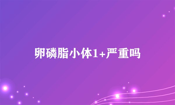 卵磷脂小体1+严重吗