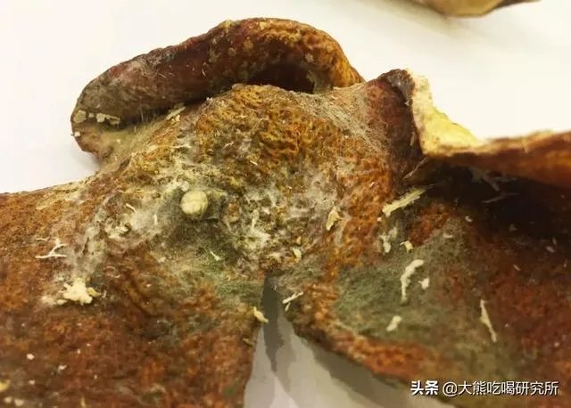 陈皮会产生黄曲霉素吗?如何辨别陈皮是否有黄曲霉素?