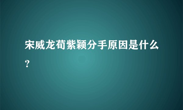 宋威龙荀紫颖分手原因是什么？