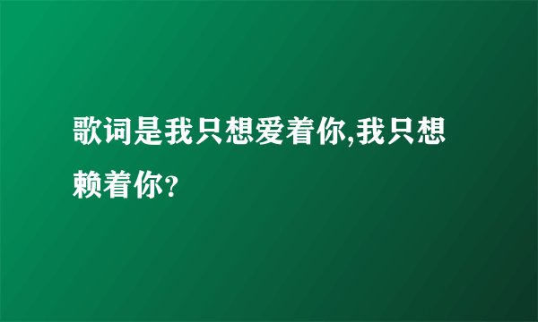 歌词是我只想爱着你,我只想赖着你?