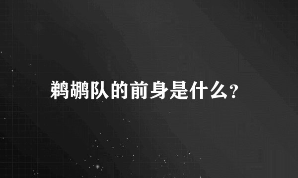 鹈鹕队的前身是什么？