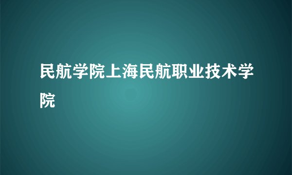 民航学院上海民航职业技术学院