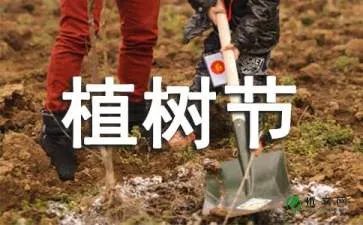 植树节活动方案
