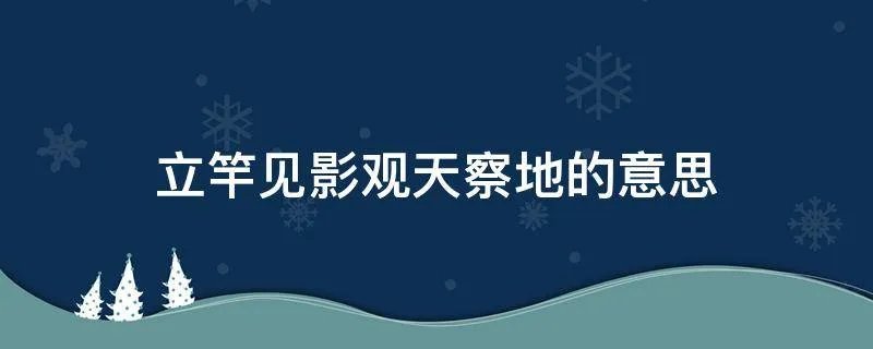 立竿见影观天察地的意思