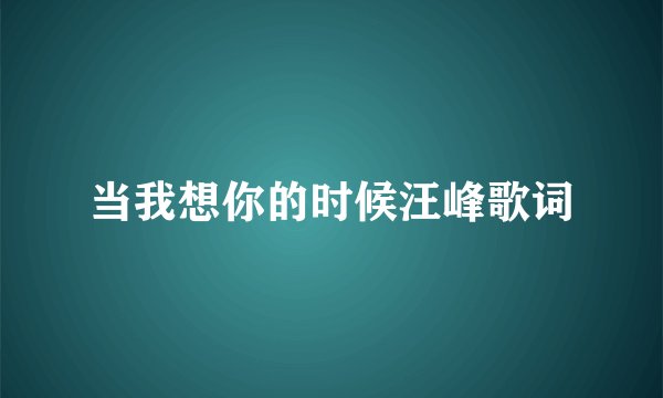 当我想你的时候汪峰歌词
