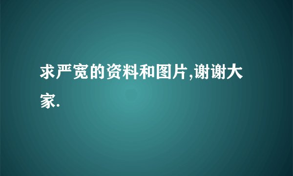 求严宽的资料和图片,谢谢大家.