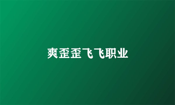 爽歪歪飞飞职业