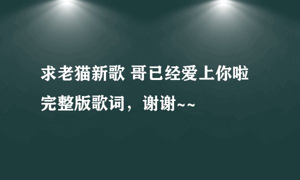 求老猫新歌 哥已经爱上你啦 完整版歌词，谢谢~~
