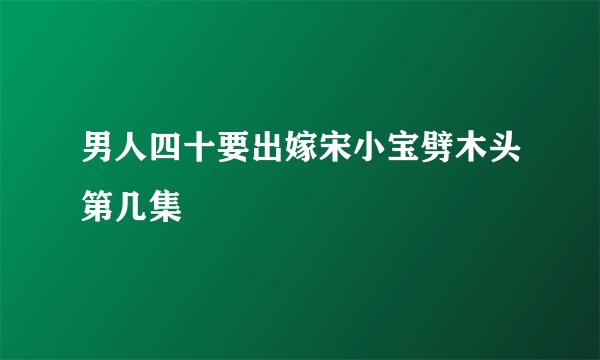 男人四十要出嫁宋小宝劈木头第几集