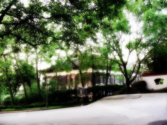 重庆邮电大学怎么样？