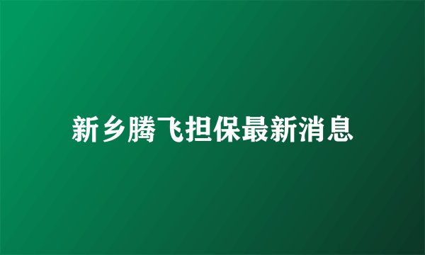 新乡腾飞担保最新消息