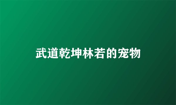 武道乾坤林若的宠物