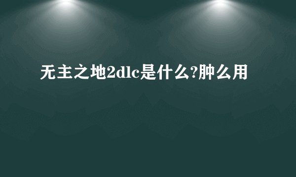 无主之地2dlc是什么?肿么用