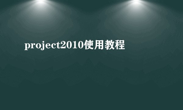 project2010使用教程