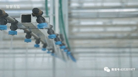 温室大棚的工作原理是什么?