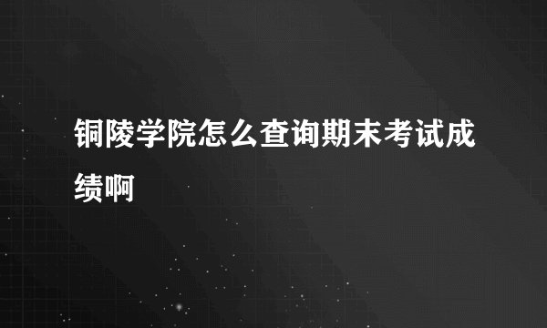 铜陵学院怎么查询期末考试成绩啊