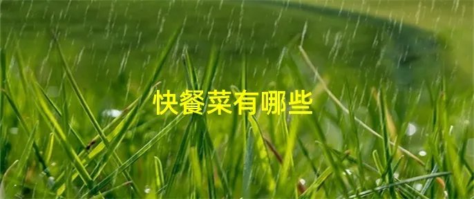 快餐菜有哪些