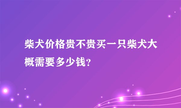 柴犬价格贵不贵买一只柴犬大概需要多少钱？