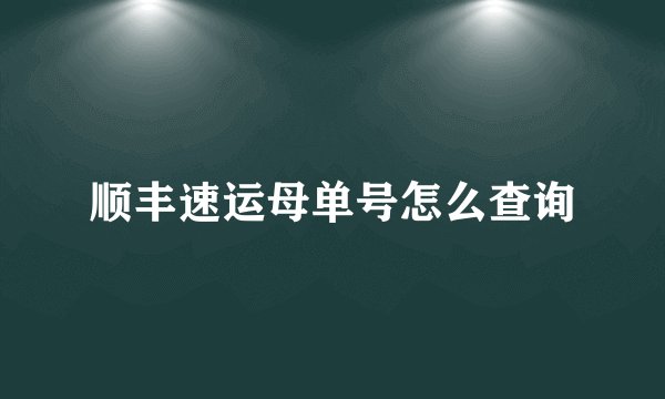 顺丰速运母单号怎么查询