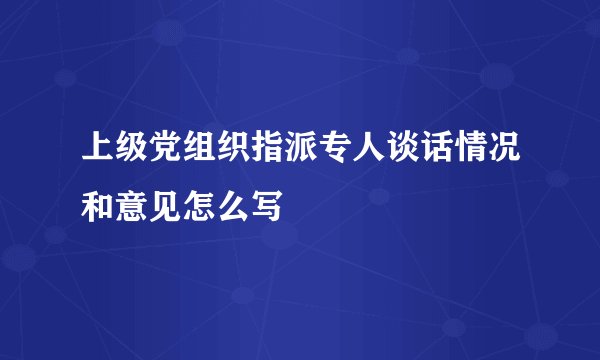 上级党组织指派专人谈话情况和意见怎么写
