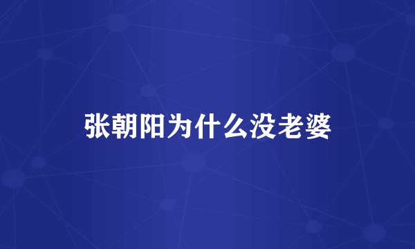 张朝阳为什么没老婆