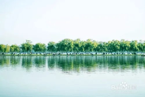 这个黄金周去这个人潮涌动的地方看什么?