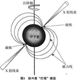 什么是白矮星和中子星?