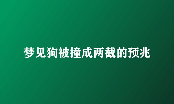 梦见狗被撞成两截的预兆