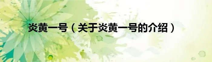 炎黄一号（关于炎黄一号的介绍）