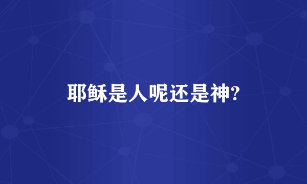 耶稣是人呢还是神?