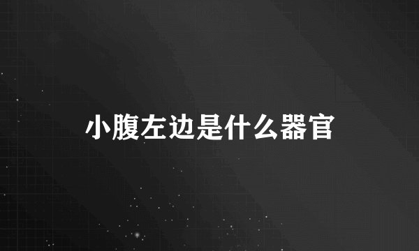 小腹左边是什么器官