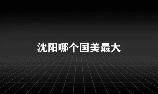 沈阳哪个国美最大