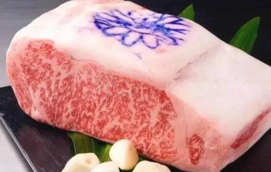 日本神户牛肉到底好在哪里?