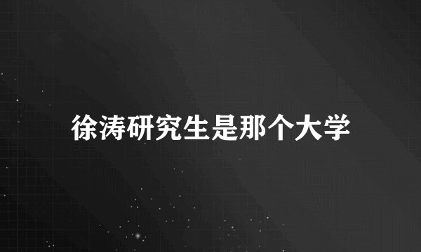 徐涛研究生是那个大学