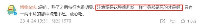 含有剧毒的蓝环章鱼 正在悄悄混入市场