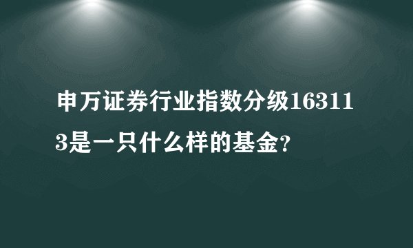 申万证券行业指数分级163113是一只什么样的基金？