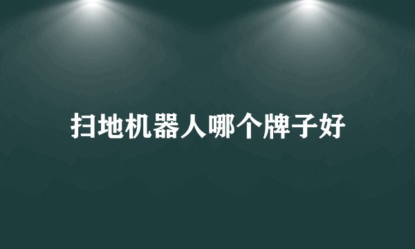 扫地机器人哪个牌子好