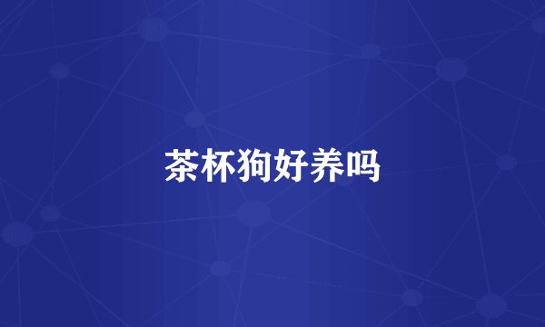 茶杯狗好养吗